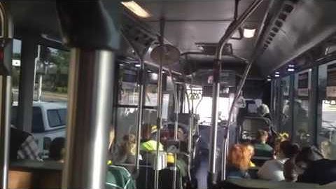 Transdev QLD Bus Route 250 Inbound