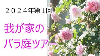 【バラ】2024年第一回 プライベートガーデンツアー