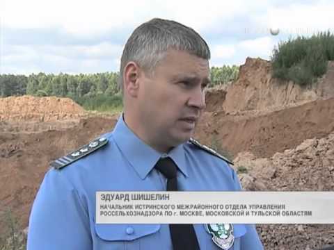 Золотой песок Подмосковья