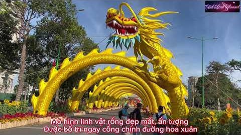 Rộn ràng đường hoa xuân thành phố Phan Thiết tết Giáp Thìn 2024 - Anh Linh Channel