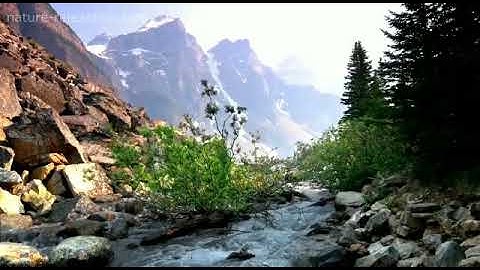 تلاوة عراقية رائعة / أداء: وائل الأسعد