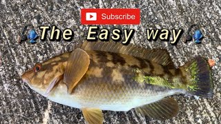 How to fish for Wrasse!! EASY!!!