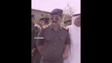 ان غاب القط العب يافار 