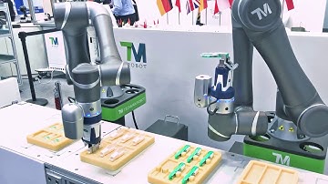 Omron TM Dual Cobot Assembly