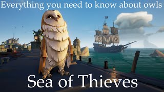 Sea of thieves: Everything you need to know about OWLS