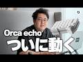 【お待たせしました】Orca echoがほぼ完成したので現状報告をします!