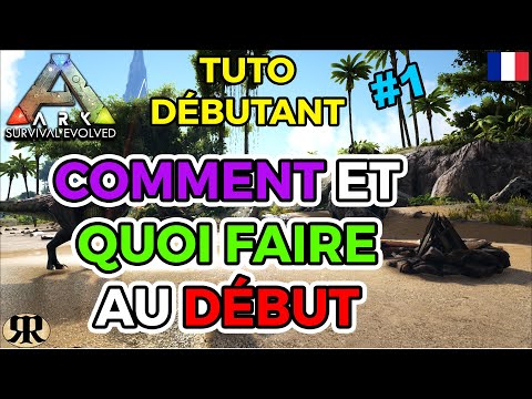 [FR] ARK Survival Evolved : TUTO DEBUTANT #1 Comment et Quoi Faire au Début