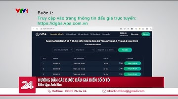 Hướng dẫn các bước đấu giá biển số ô tô | VTV24