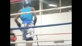 Ethan smith knocks down opponent and wins silver glove reginals