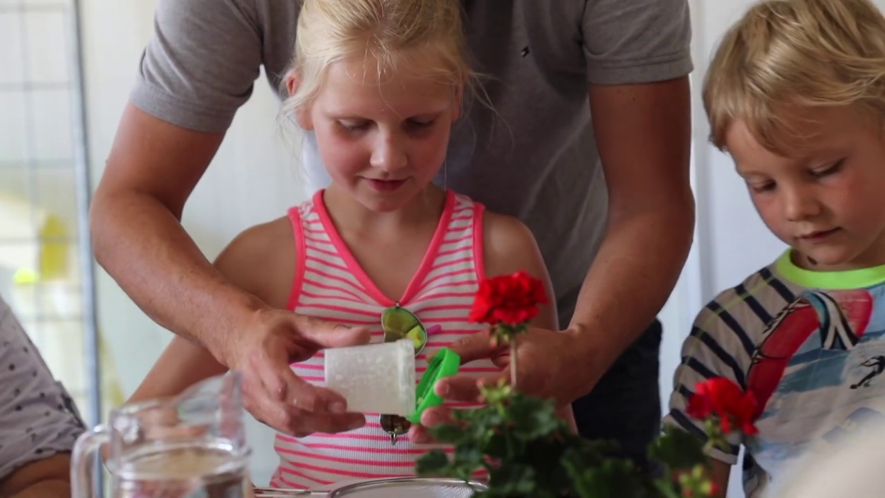 Den Eelder - Open dag 2019