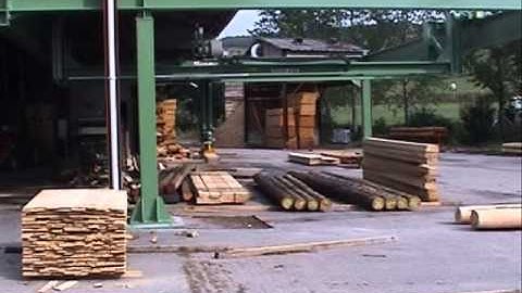 Joulin Gantry Robots: Outfeed of Band Saw Function