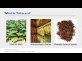 Tobacco, Risks of Use, and Cancer