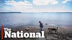 Canadian Island Disappearing Due to Climate Change