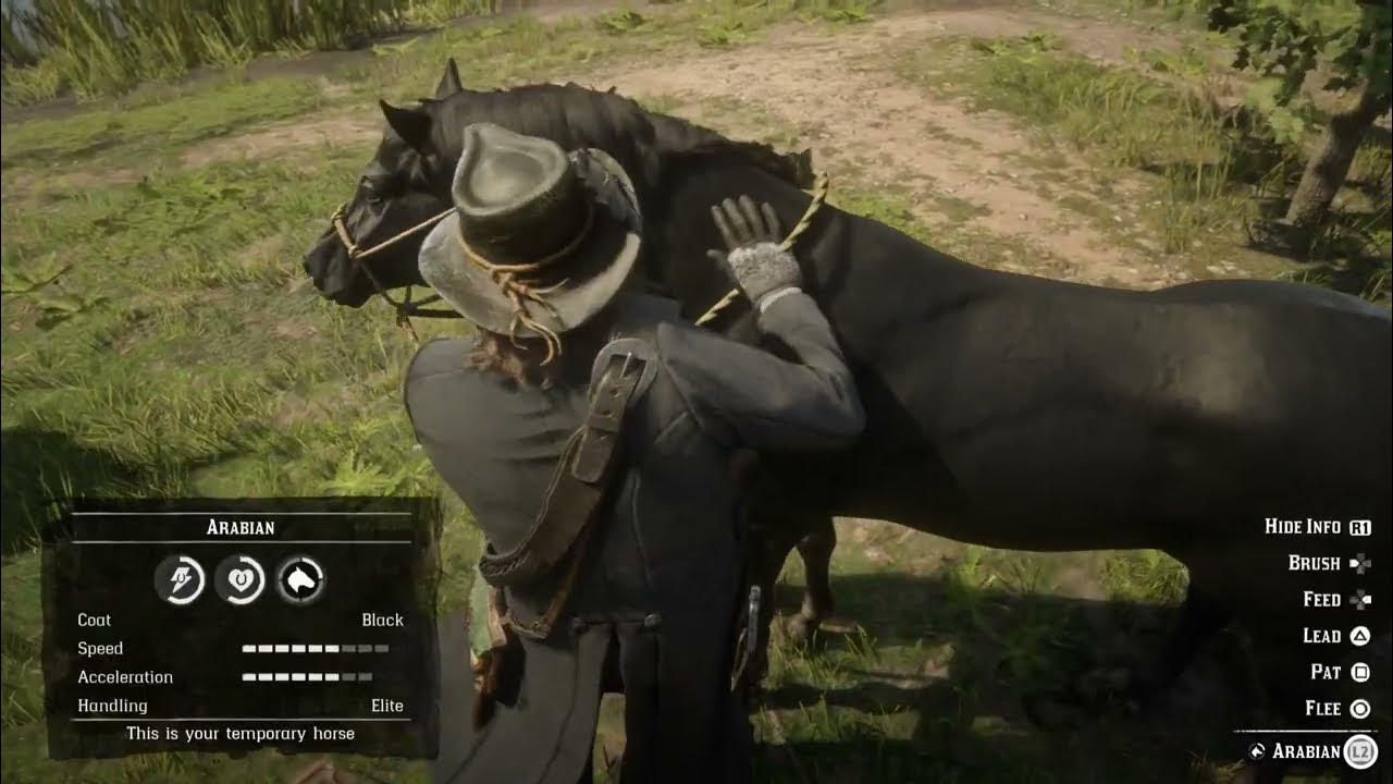 Steal any horse from St Denis stables YouTube