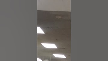 System Sensor Spectralert Advance PC2W Horn Strobe