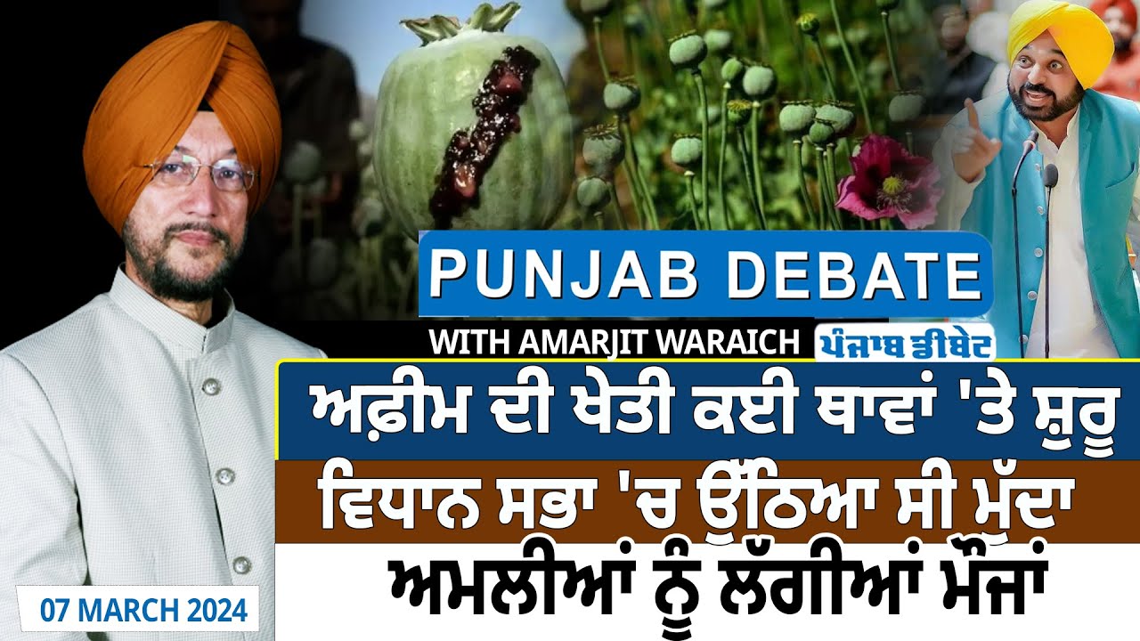 Punjab Debate: Afeem ਦੀ Farming ਕਈ ਥਾਵਾਂ 'ਤੇ ਸ਼ੁਰੂ,Vidhan Sabha 'ਚ ਉੱਠਿਆ ਸੀ ਮੁੱਦਾ |D5 Channel Punjabi