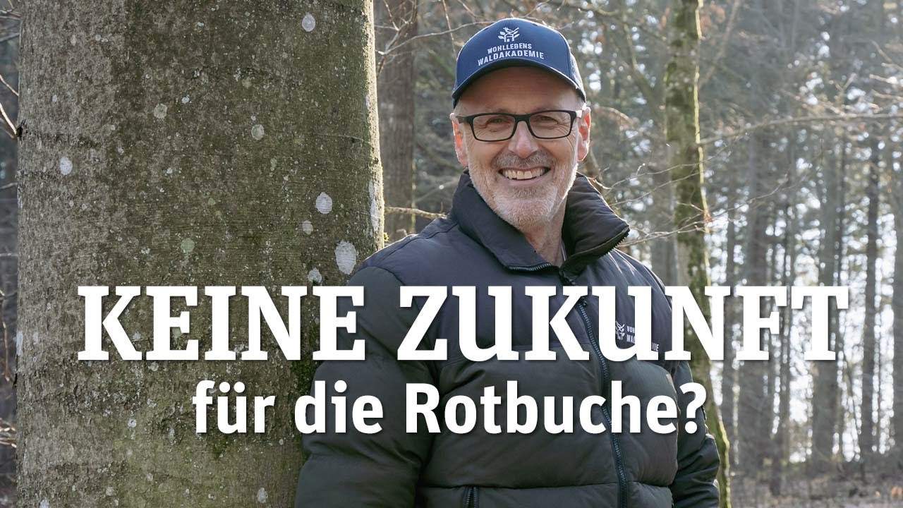 Die Linde, Baum der Liebe und Gemeinschaft