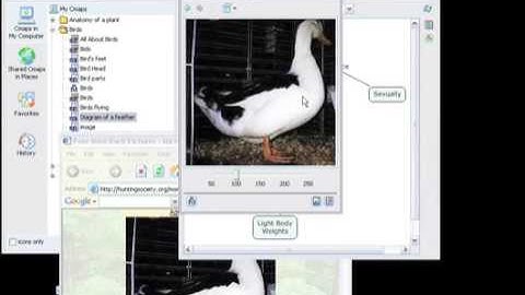 CmapTools: Linking Resources to Concept Maps