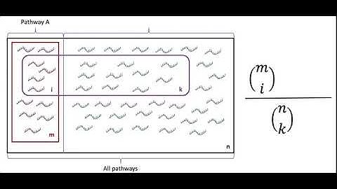 Hypergeometric probability for gene set enrichment