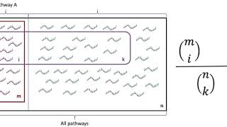 Hypergeometric probability for gene set enrichment