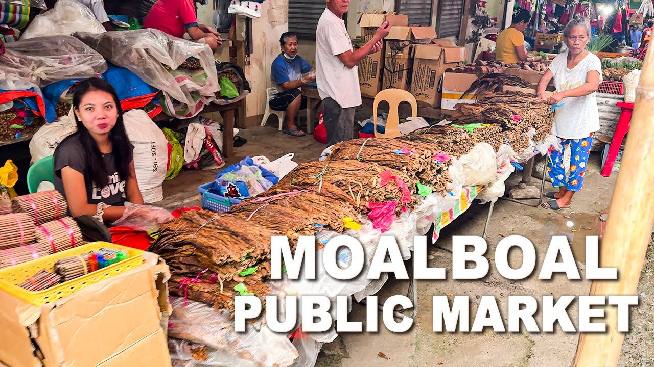 MOALBOAL Town Proper and Public Market Walking Tour | Cebu