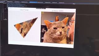 Testing an affine texture mapped triangle routine
