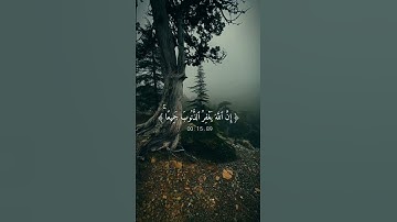 قران 𝑸𝑼𝑹𝑨𝑵 #تلاوه جميلا #quran_alkarim      أرح قلبك 💙 #قران كريم  #راحه نفسيه 💙🎧 #اكسبلور #المصحف