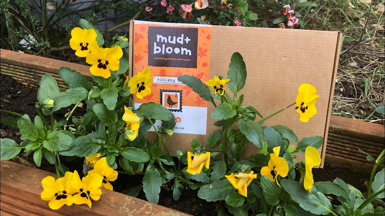 Mud and Bloom subscription box April May YouTube