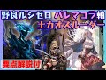 ルシゼロ バレマコラ軸土カオスルーダー編成 解説付【グラブル】