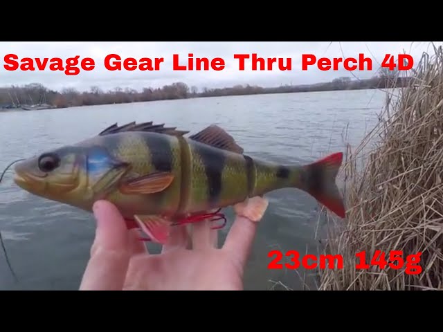 Savage Gear 4D Line Thru Perch
