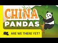 China pandas  travel kids in asia