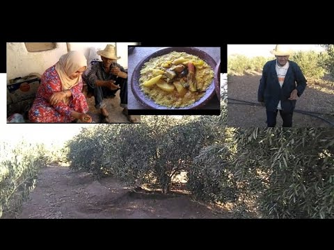 في البادية اليوم مشينا عند عمي نشوفوه فرحات بنا امراة عمي معرفه فين تحطنا كبرات بينا الله يكبر بها