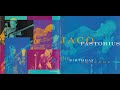 Capture de la vidéo Jaco Pastorius  - "The Birthday Concert "(1989)