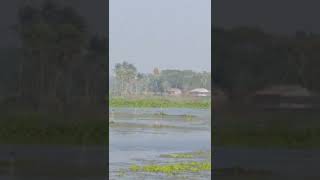 সস্তা ক্যামেরা zoomout