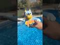 Bluey Swimming in the Pool