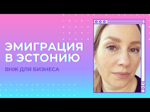 Как эмигрировать в Эстонию с помощью бизнеса. Вид на жительство в Эстонии