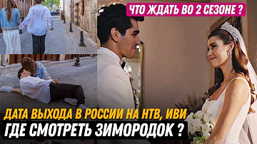 Где смотреть сериал ЗИМОРОДОК в России? Что будет во 2 сезоне и когда он выйдет на НТВ и Иви?