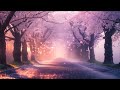 桜色舞うころ 中島美嘉さん アコースティックギター＋バイオリンアレンジ🎻