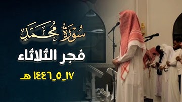 فجرية خاشعة بتحبير مميزة تلاوة بصوت عذبة بصوت القارئ فيصل الهاجري | ١٧ جمادى الأولى ١٤٤٦ هـ