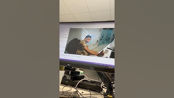 YOLO V8 - Physical Facial Tracking 3/3