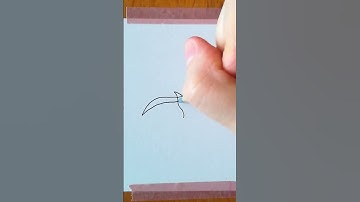 How to draw easy seagull one line art quick draw simple drawing painting bird