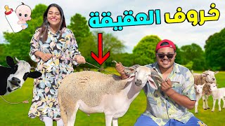 اخيرا..شرينا الحولي ديال سبوع البيبي (يانيس )🐏اثمنة خروف العيد غالية بزااف🔥😢