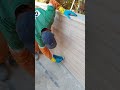 Filling Ceramic Tile Gaps with White Cement: DIY Guide