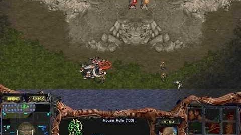 2021 StarCraft Broodwar - Cat and Mouse Games are Frustrating