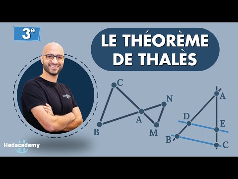 Théorème de Thalès : Tout comprendre !