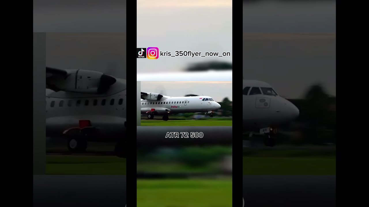 Pelita Air Fleet In 2025