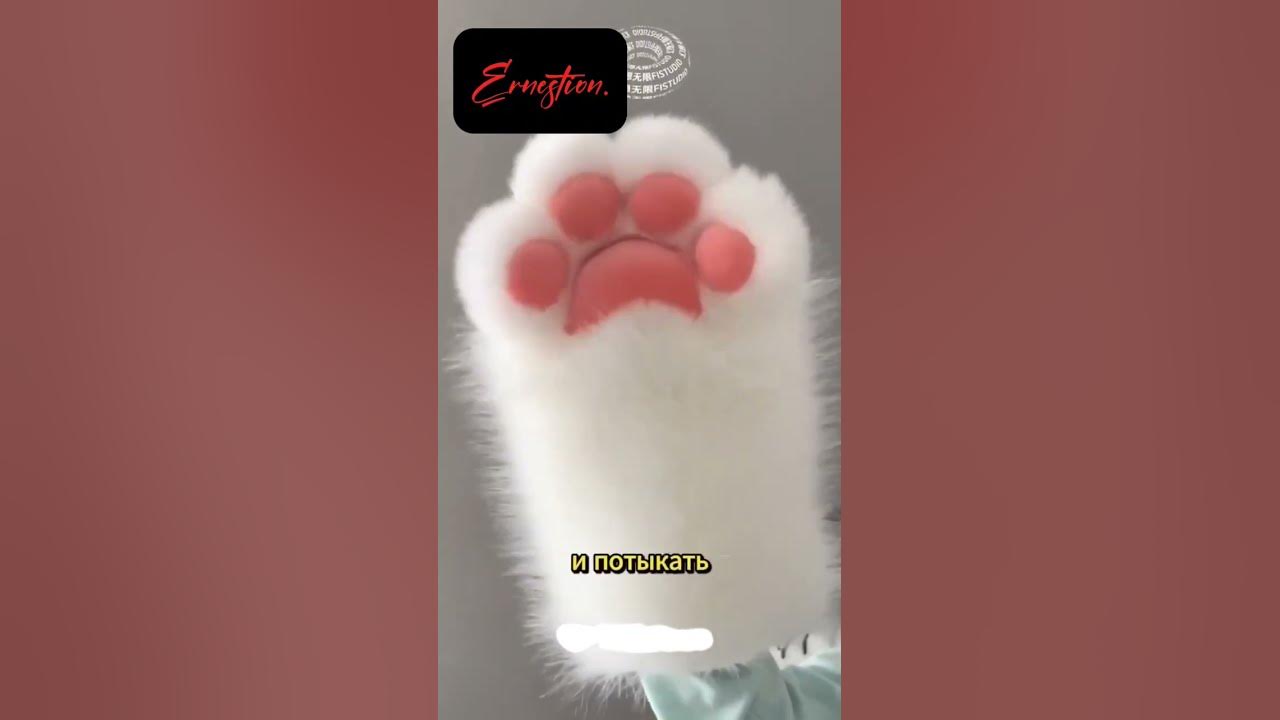  перчатки в форме кошачьих лапках #shorts #в - YouTube