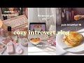 Cozy introvert vlog  cute breakfast ideas being productive cooking organising haul  aesthetic