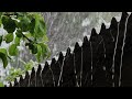 Rain Sounds for sleeping Fully natural #nature #rain #viralvideo #villagelife #বৃষ্টি #ytviralvideo