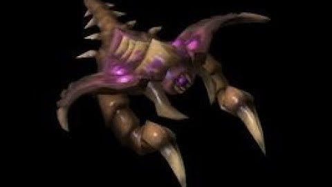 Starcraft 2 Broodling Zerg Terran Protoss LORE #Shorts (bot)